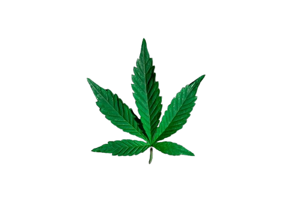 Home 420weeddrop